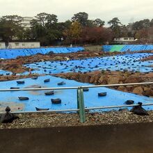 天守発掘調査中