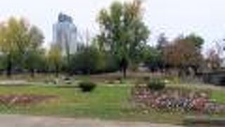 本丸と二ノ丸の広いエリアが駿府城公園