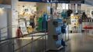 水族館の出口付近