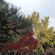 もみじが綺麗な公園