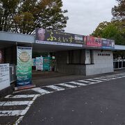 文書館部門と博物館部門で構成された歴史館