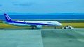 滑走路が目の前です