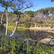 幸田町内　池がある公園