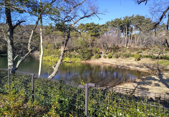 幸田町内　池がある公園