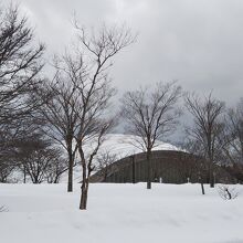 秋田県立中央公園