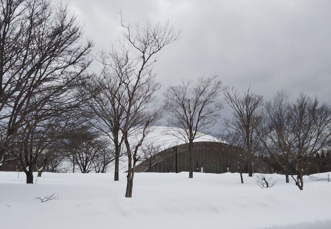 秋田県立中央公園