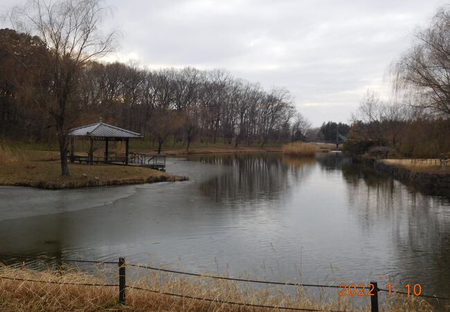 古河総合公園 クチコミ アクセス 営業時間 古河 フォートラベル