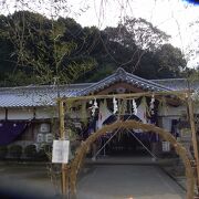 鎌を神木に奉納する神社、大銀杏でも有名