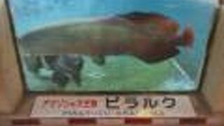 小さな庭園の地獄