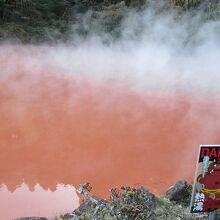 泉質は酸性緑礬泉。深度30mの粘土層から噴出。