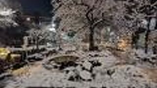 雪が綺麗でした