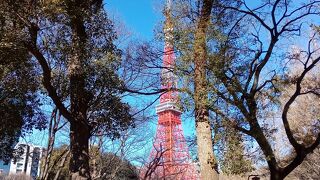 東京ならではの休日の過ごし方