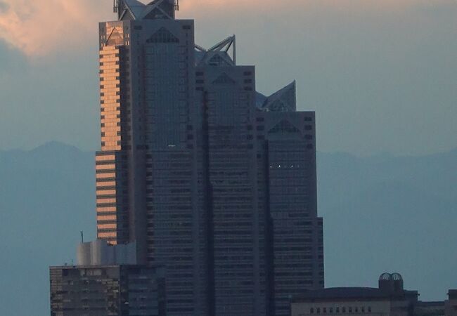 西新宿でも異彩を放つ高層ビル