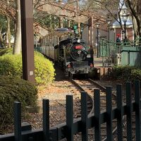 ナガシマスパーランド 汽車