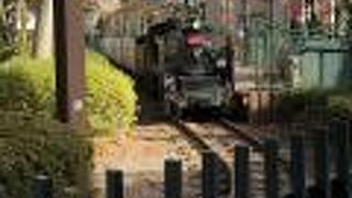 ナガシマスパーランド 汽車