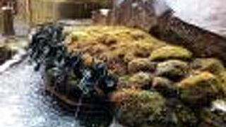 龍神水の龍神にも