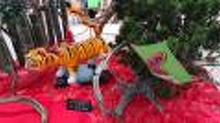 「生け花」が、寅年を演出