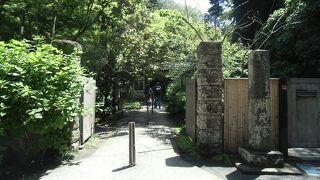 あじさいの季節は歩くのも困難