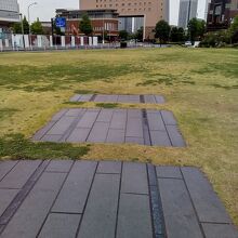 新港中央広場の芝生広場に