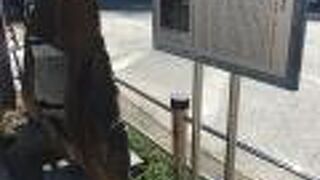 牛舎と牛の写真