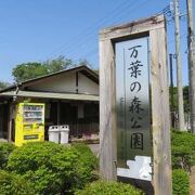 ちょっとした散策によい公園