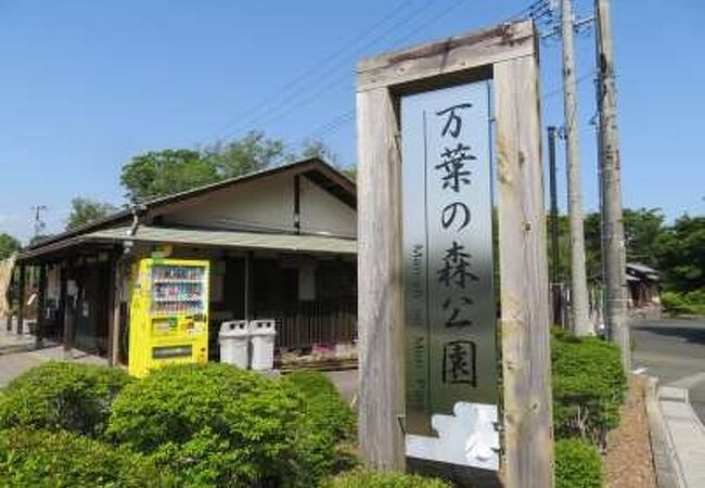 ちょっとした散策によい公園