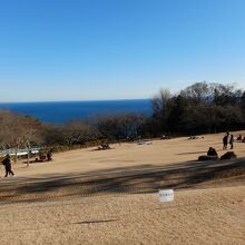 海も見えて爽快な山頂広場