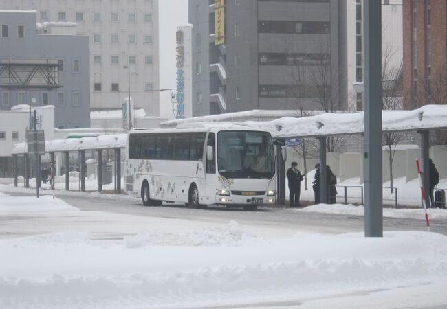 ぐるっと北海道割を利用して往復4900円で乗車できました