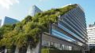 天神中央公園からの眺め