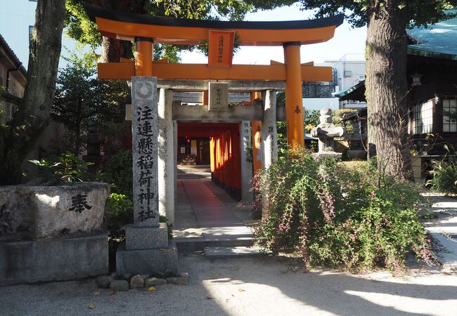 注連懸稲荷神社 クチコミ アクセス 営業時間 博多 フォートラベル