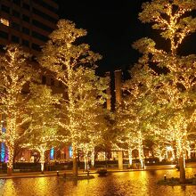 テラス前のライトアップが美しい