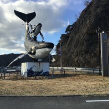 道路沿いからの親子クジラ。