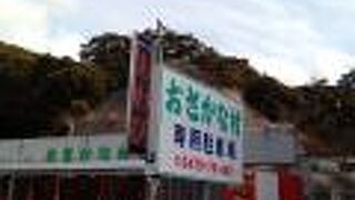 房総の海産物を