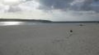 素晴らしい海でした