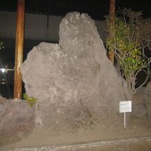 桜島溶岩の様子