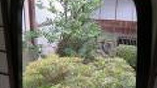 冬枯れの時季なので