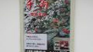 寺院なのか料理屋なのか