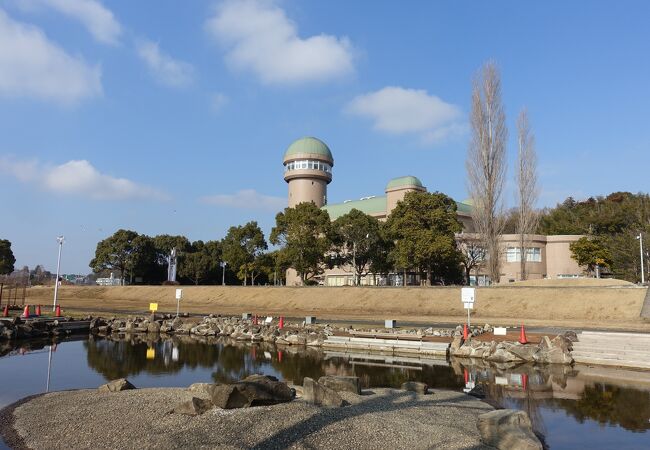 手賀沼親水広場 水の館 クチコミ・アクセス・営業時間｜我孫子【フォートラベル】