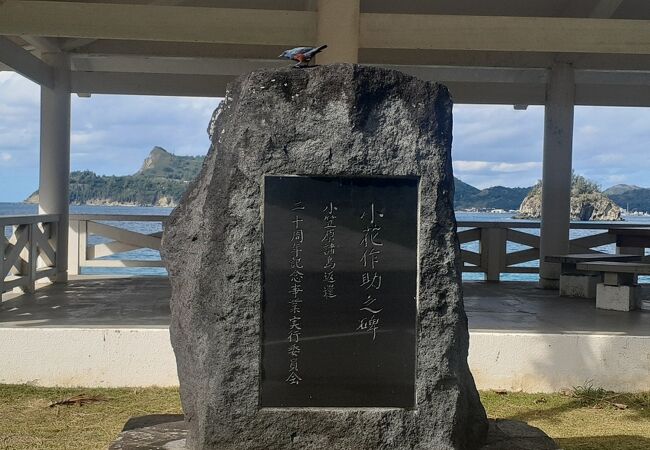 目の前に青い海が広がる海岸