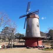 中田島砂丘前の公園。風車もあります