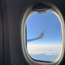 ハートのつばさ