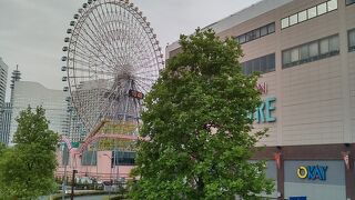 横浜ならではのレジャーを楽しむ