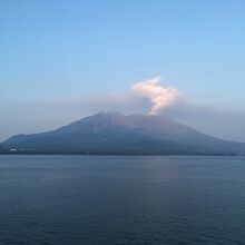 エーライン (マルエーフェリー / 奄美海運)