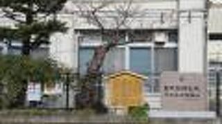 寒天食べて、おなかスッキリ！