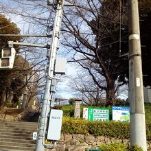 飛鳥山公園