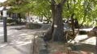 平和大通りと54号線の角に