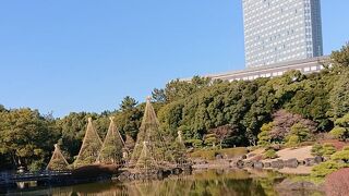 県立の公園にある日本庭園