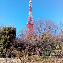 プリンス芝公園