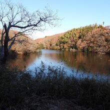 水郷県民の森の大膳池の風景