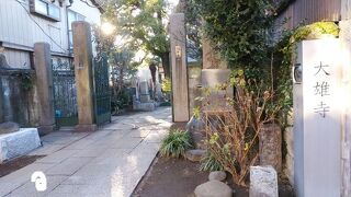 境内に大きな楠がある寺院